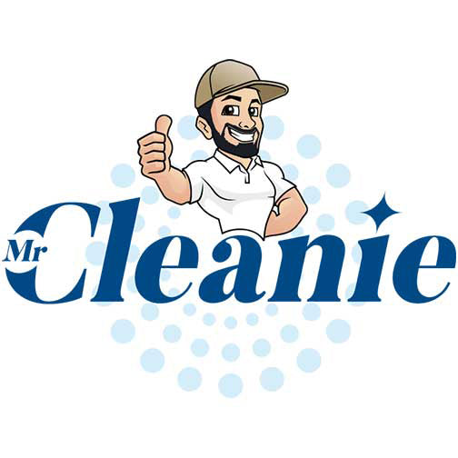 Mr Cleanie Polska